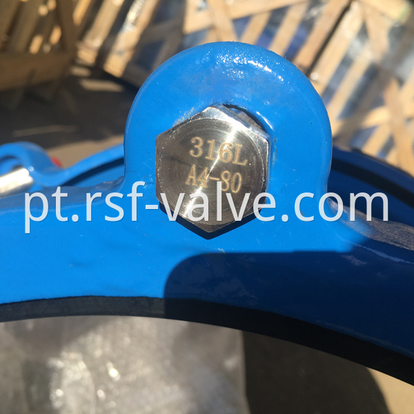 316l Bolt And Nut Flexible Coupling 2